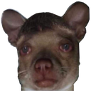cd_RatDog2 Discord emoji