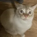 thefuckyoujustsay