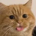 cat_blep