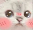 cat_uwu