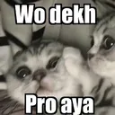 proplayer