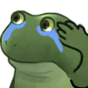 worrySaluteCry Discord Emoji