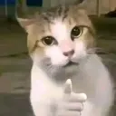you you