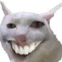 catsmile catsmile