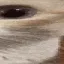 fatter_uuuh_r