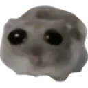 cri
