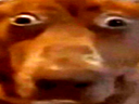 aintnoway Discord emoji