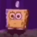 DD_spongetwerk