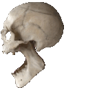 bones_right Discord emoji