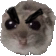 hamsteranger Discord emoji