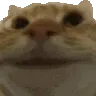 nodders