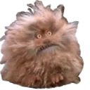 fizzgig