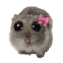 sad_hamster_bow