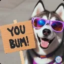 Huskyyoubum