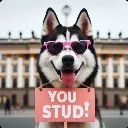 Huskyyoustud
