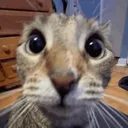 you2