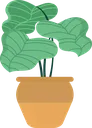 plant_1