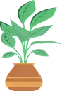 plant_3