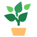 plant_plant