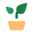 plant_sapling