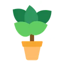 plantbig_plant