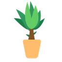 plantbig_palm