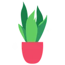 plantbig_fern