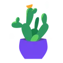 plantbig_cactus