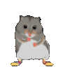 ratDance1