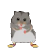ratDance1