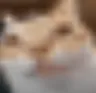 ermjy