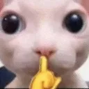 CatShhh