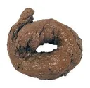 Poop