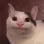 nicecat
