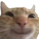 Cat_Happy