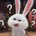 bunnyhuh bunnyhuh