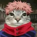 Cat_yuji_Cat