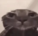 huh