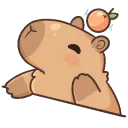 CapyBongo
