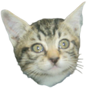 Maxidad Discord emoji