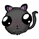 catg