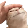 pat