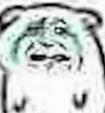 Cryingbear Discord Emoji