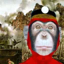 war