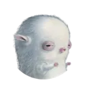 oogsideye