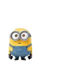 oog