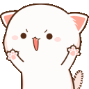 kittyrawr