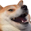 Doggo Laugh doggolaugh Discord Emoji
