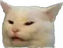 AccusedCat Discord Emoji