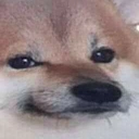 dog_rodri Discord emoji